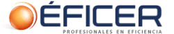 ADMINISTRACIÓN PATRIMONIAL – EFICER