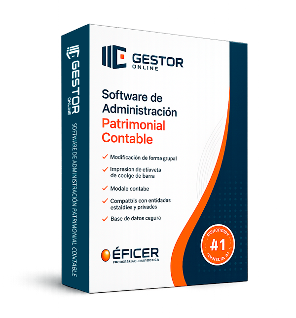 Gestor Online - Software de Administración Patrimonial Contable