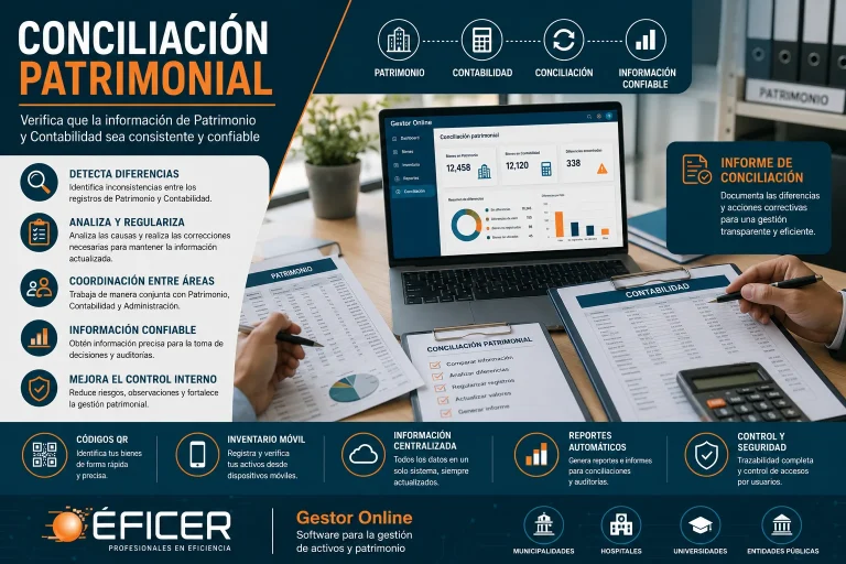 Especialistas realizando la conciliación patrimonial entre los registros de Patrimonio y Contabilidad utilizando Gestor Online de ÉFICER.