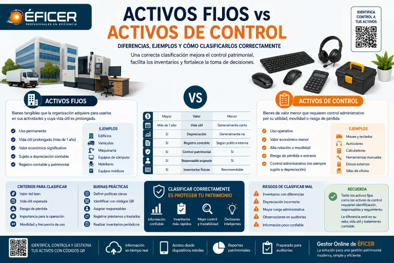 Comparación entre activos fijos y activos de control para una correcta clasificación patrimonial.
